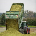 Werner Düpmeier e.K. Lohnunternehmen Hamm Ahlen Dolberg Erdarbeiten Holzarbeiten Transport