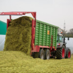 Werner Düpmeier e.K. Lohnunternehmen Hamm Ahlen Dolberg Erdarbeiten Holzarbeiten Transport