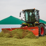 Werner Düpmeier e.K. Lohnunternehmen Hamm Ahlen Dolberg Erdarbeiten Holzarbeiten Transport