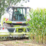 Maishäcksler Lohnunternehmen Werner Düpmeier e.K. Dolberg