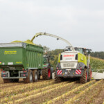 Werner Düpmeier e.K. Lohnunternehmen Hamm Ahlen Dolberg Erdarbeiten Holzarbeiten Transport