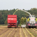 Werner Düpmeier e.K. Lohnunternehmen Hamm Ahlen Dolberg Erdarbeiten Holzarbeiten Transport
